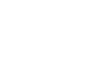 Fundação MS